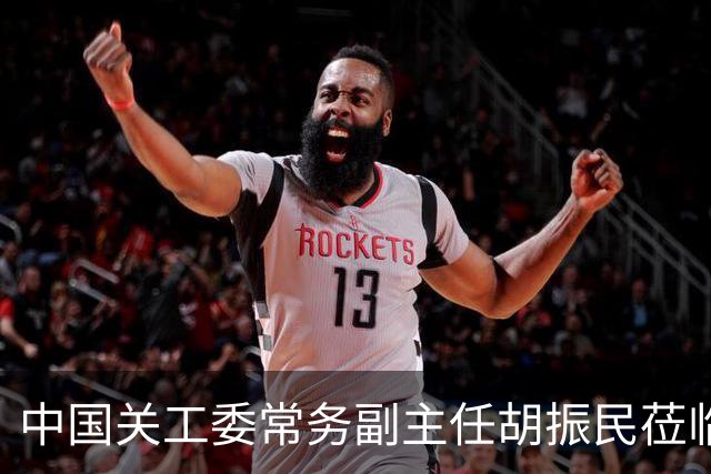 中国关工委常务副主任胡振民莅临星磊科技集团考察调研