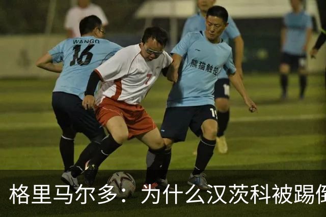 格里马尔多：为什么汉茨科被踢倒但VAR没介入？我们需要一个解释