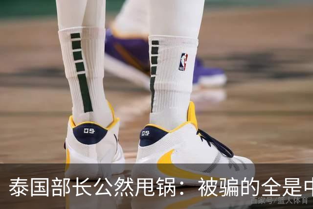 泰国部长公然甩锅：被骗的全是中国人，谁让你们自己太贪心