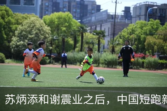 苏炳添和谢震业之后，中国短跑新一代领军人在哪？