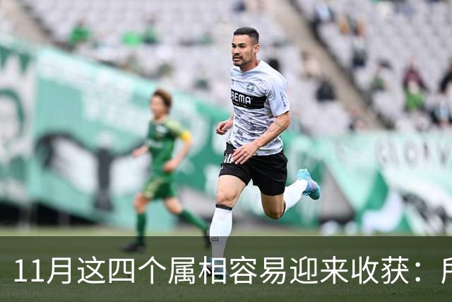 11月这四个属相容易迎来收获：所有惊喜，都是长期默默耕耘的结果