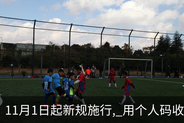 11月1日起新规施行, 用个人码收款未申报, 主动补缴为何不能免罚 ?