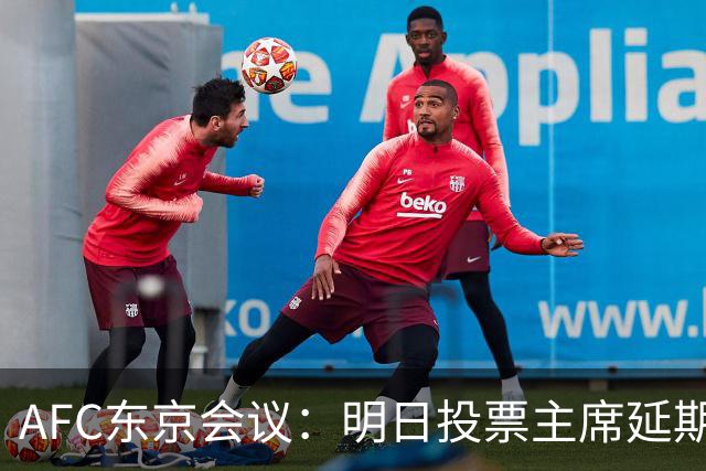 AFC东京会议：明日投票主席延期 11.18定夺亚洲杯
